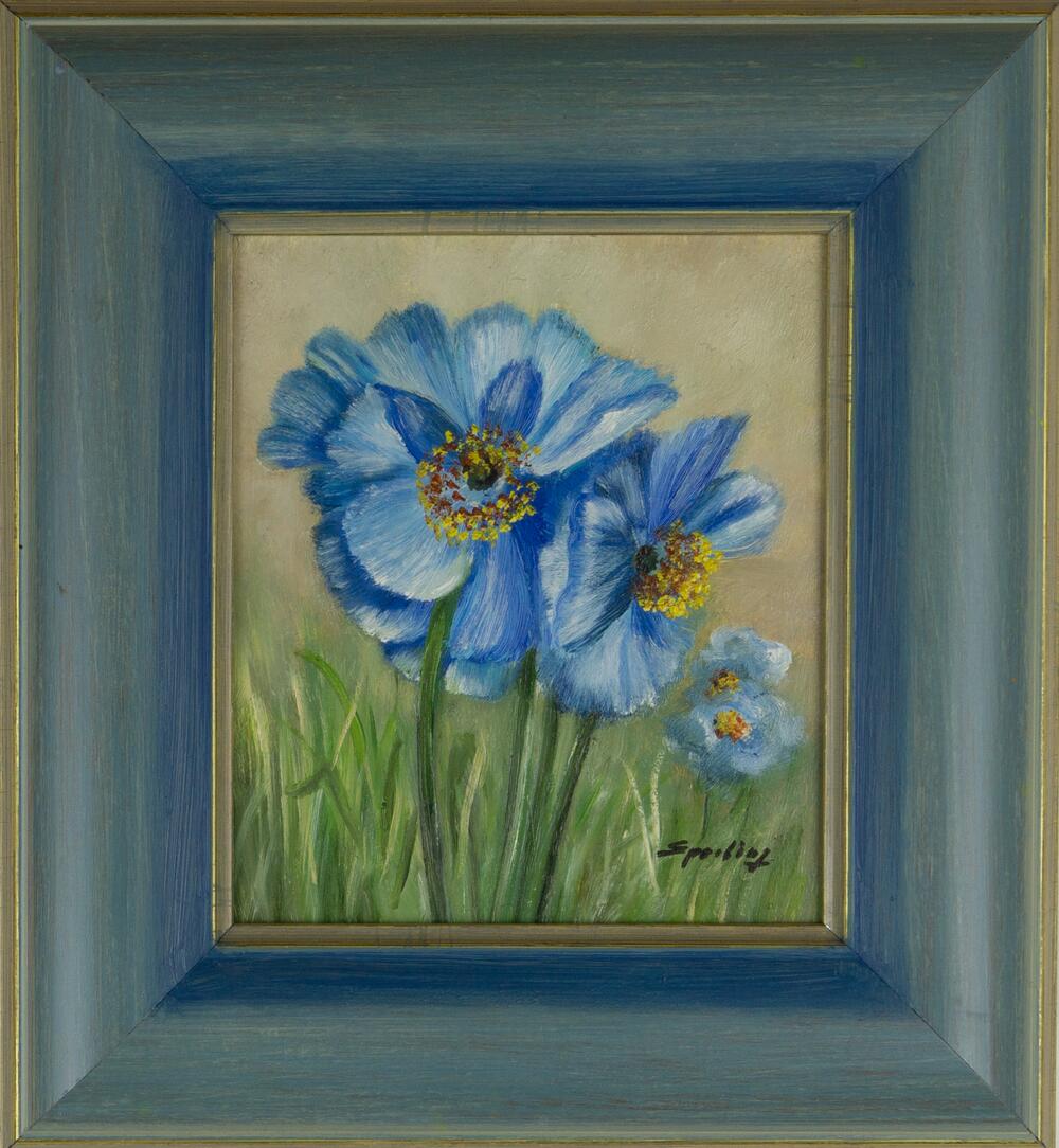Blue Blossoms in Spring