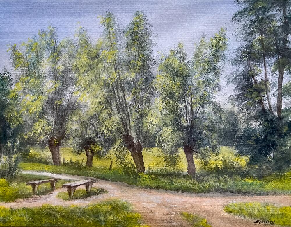 Tranquil Pathway Through Nature