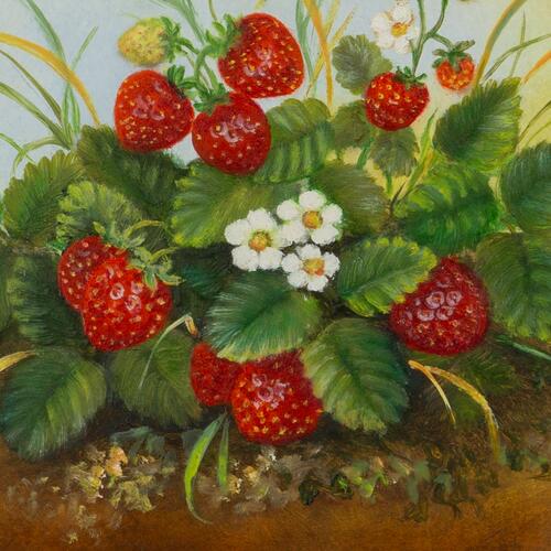 Vibrant Strawberries in Nature