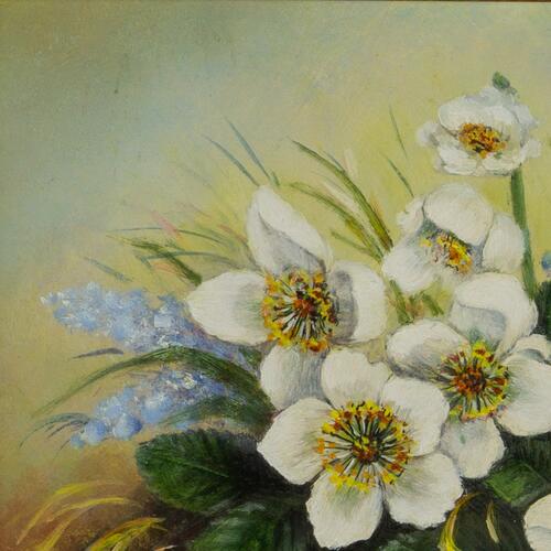 Blossoms in Nature