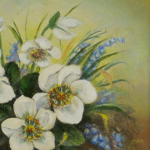 Blossoms in Nature