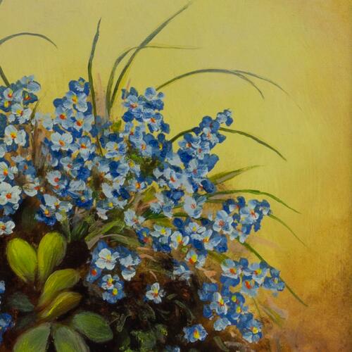 Blooming Forget-Me-Nots