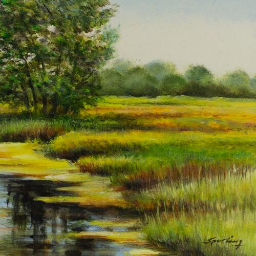Tranquil Stream and Tree Landscape