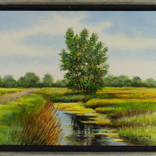 Tranquil Stream and Tree Landscape