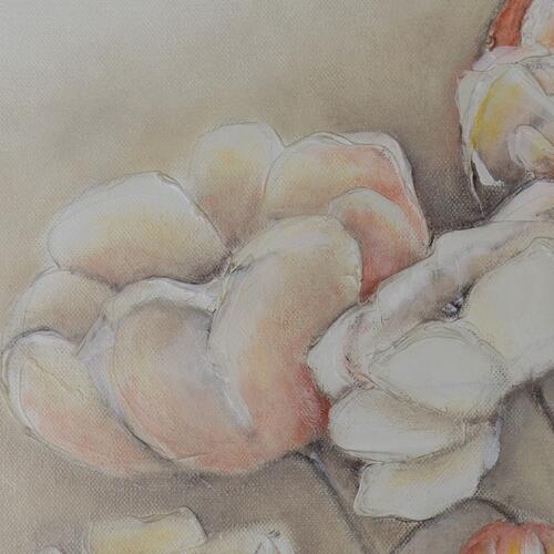 Floral Harmony in Soft Hues