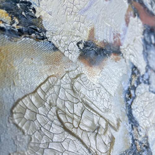 Abstract Textures of Nature