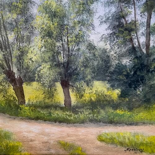 Tranquil Pathway Through Nature