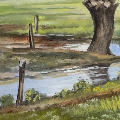 Reflections of Nature