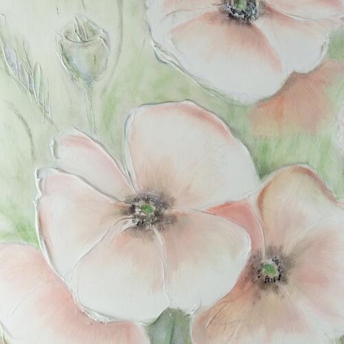 Gentle Poppies in Bloom